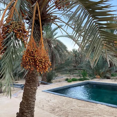 Вілла Wafla Siwa Oasis Екстер'єр фото